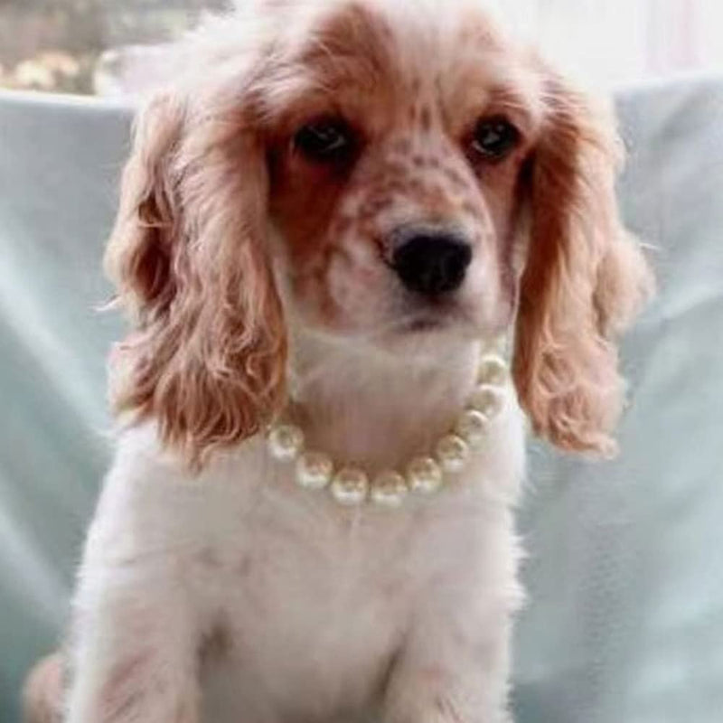 Adorable Pet Pearl Collar Adjustable Cat Dog Pet Necklace Jewelry Chihuahua York Girl Clothing Dress Accessories White - PawsPlanet Australia