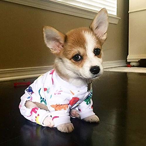 CuteBone Dinosaur Dog Pajamas Adorable Puppy Clothes Jumpsuit Pjs Pet Apparel Soft Fleece Cat Coat P01XS X-Small White Dino