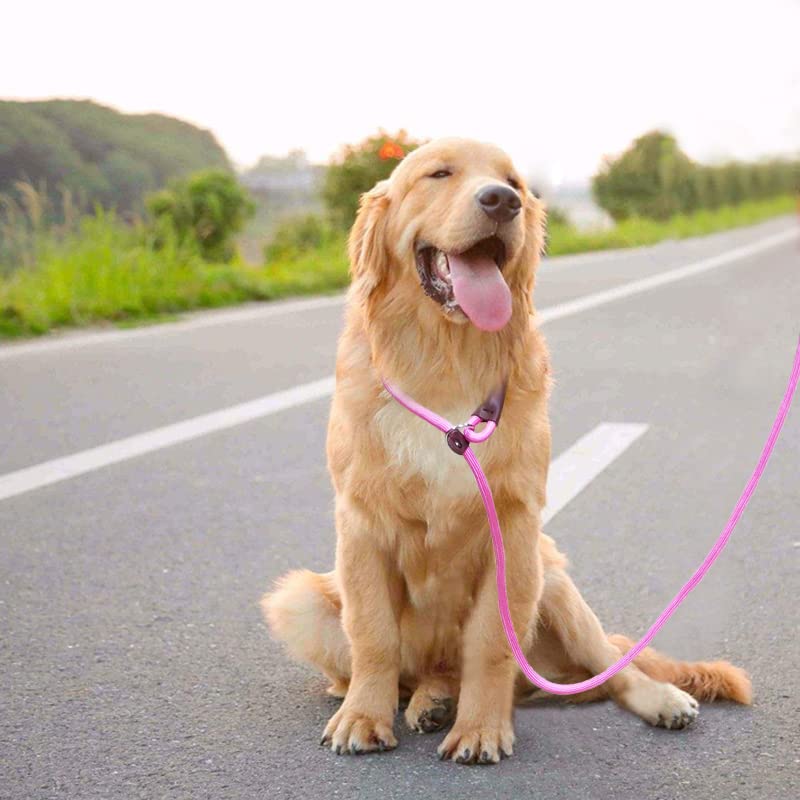 5 FT Slip Lead Dog Leash, Heavy Duty 1/2” Strong Nylon, Solid 7 Colors Training Leash, No Pull Dog Lead Great for Medium and Large Breeds (Pink) 1/2" x 5ft pink - PawsPlanet Australia