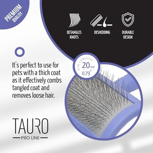 Dog Brush for Shedding Long and Short Hair, Plastic Soft Slicker for Grooming Haired Dogs and Cats, Flexible Cushion and Non-Slip Grip, Rectangular, 4,13 x 6,29 inch, Purple - PawsPlanet Australia