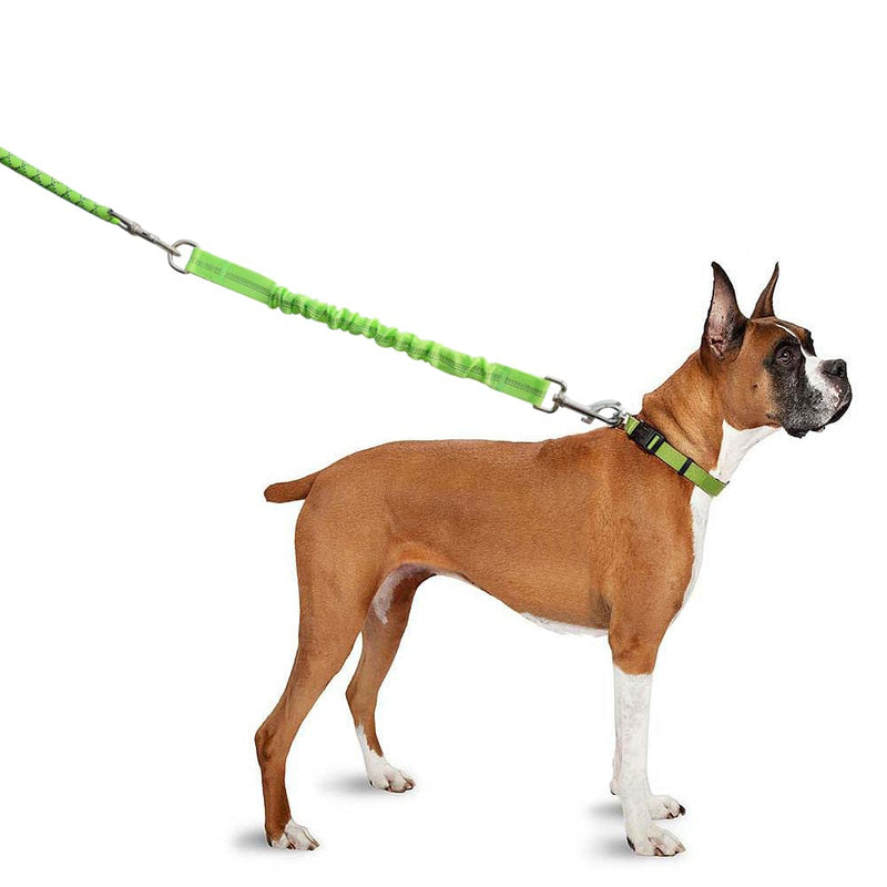 BTINESFUL Bungee Dog Leash Extension, 18”Dog Shock Absorber Extender, Works with Any Leash for Walking, Jogging, Training, Playing (Green) 18 Inch Green - PawsPlanet Australia