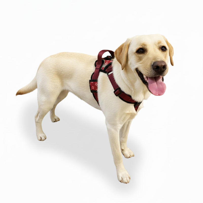 Adjustable Dog Harness – No Pull, Breathable Padded Harnesses with Handle for Small, Medium & Large Dogs – Reflective, Lightweight, Puppy Essentials to XL size. (Red, Medium) Red