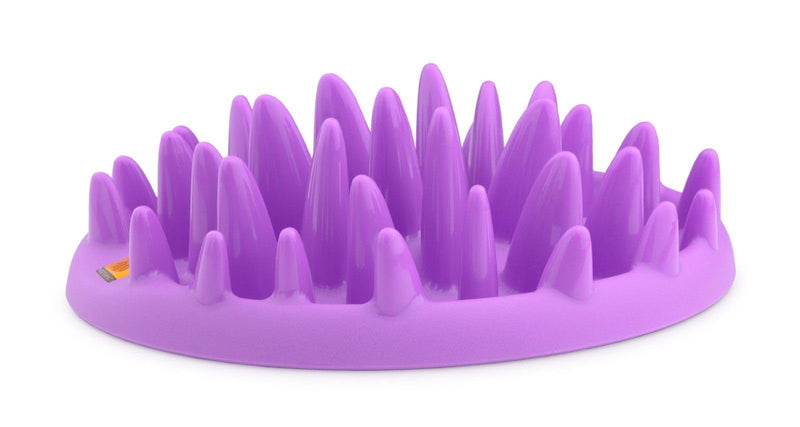 Northmate Catch Feeder For Cats- Size Mini - PawsPlanet Australia