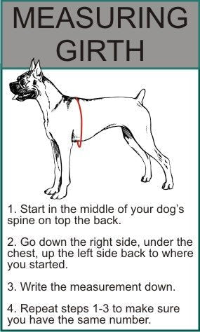 Doggie Stylz Multi-Functional Full-Body Lifting Dog Harness Vest, Designed for Front-Only, Rear-Only or Full-Body Dog Lifting. Please Measure Your Dog Before Ordering. Girth 25-33" Red - PawsPlanet Australia