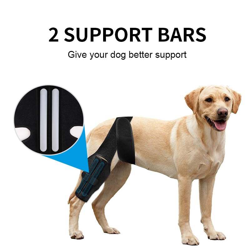 Adjustable Dog Knee Braces for Back Leg Stabilizer Support for ACL Patella Injury Arthritis Post Surgery Recovery(Black M) Medium