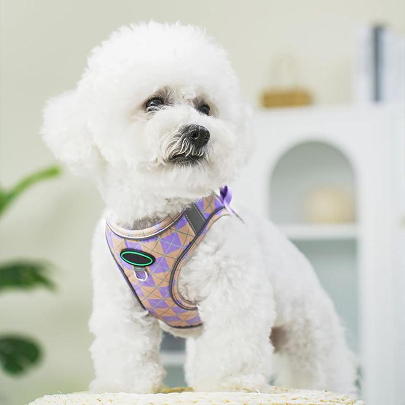 Step in Dog Harness and Leash Set, Plaid Adjustable Easy Walk Puppy Harnesses, Soft Mesh Pet Vest Harness Small Size Dog Adjustable No Pull Dog Harness for Small Medium Dogs(Yellow Purple, M) Yellow purple - PawsPlanet Australia