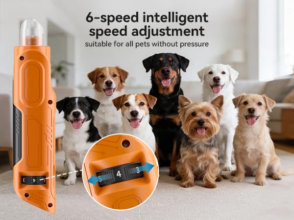 PAPIFFEED Dog Nail Grinder, Quiet 6-Speed Electric Nail Trimmer with Dual LED Light, Rechargeable for Small Medium Large Dogs, with Premium Nail Clipper (Orange Set) Orange Set - PawsPlanet Australia