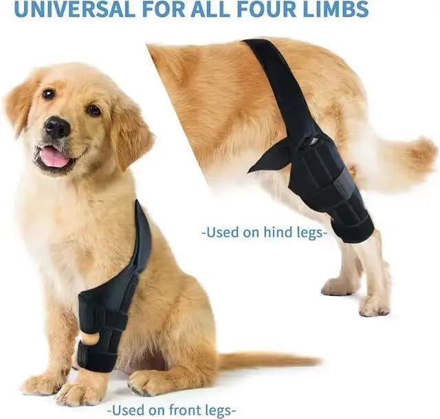 Dog Knee Brace for Ligament Injuries with Side Stabilizers, for Front or Hind Leg; Keeps The Joint Warm and Stable - Extra Support - Reduces Pain and Inflammation (Small) Small