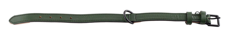 Brute Strength Leather Dog Collar - Dark Green - M - 36-43 cm - PawsPlanet Australia