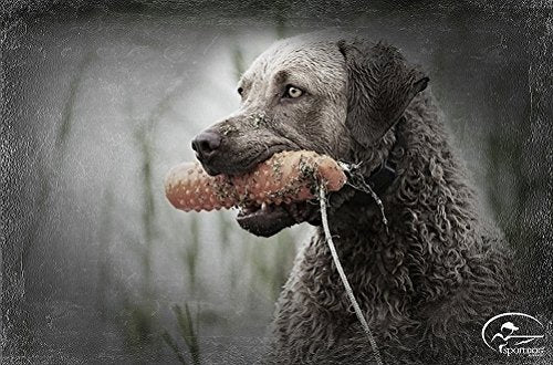 SportDOG Brand Plastic Dummies - Hunting Dog Training Tool - Adjustable Weight and Firmness - Floats Regular Orange - PawsPlanet Australia