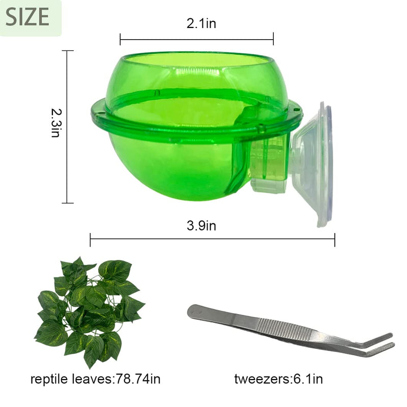 MUYG Reptiles Feeder with Suction Cup,Lizard Anti-Escape Worm Live Fodder Chameleon Feeding Water Bowl Translucent Container Ledge Supplies Accessories for Bearded Dragon（4Pcs） - PawsPlanet Australia