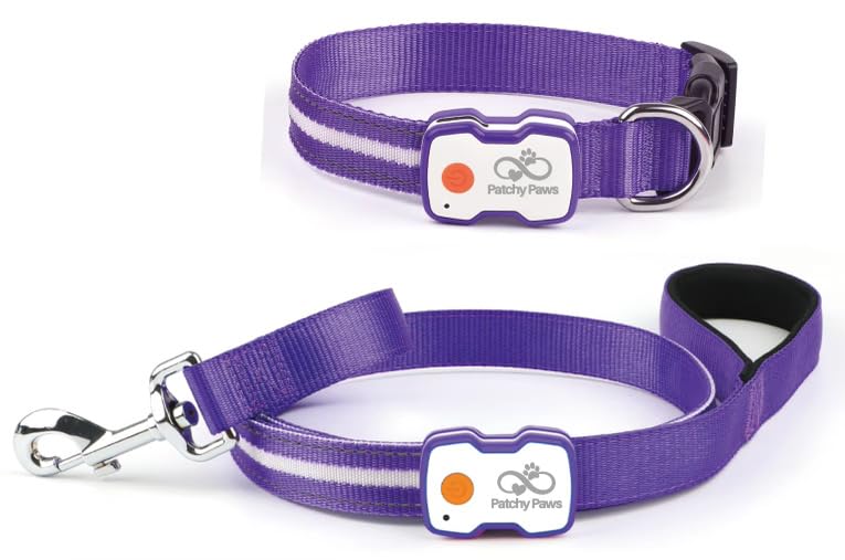 Matching LED Dog Collar & Lead Set – Rechargeable USB-C Light-Up Leash & Glow-in-the-Dark Collar for Night Walks – Durable, Waterproof, Adjustable, Stylish (Purple)