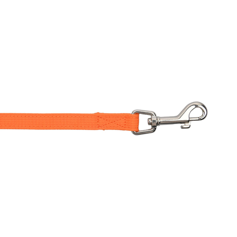 Puppia Spring and Summer Fashion Bacopas Dog Leash, Orange, Medium ORANGE_BACOPAS - PawsPlanet Australia