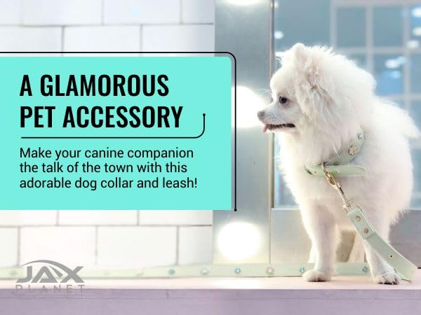 PU Leather Rhinestone Pet Leash - Green Leather Dog Leash - Soft, Padded & Comfortable for Female Dogs and Cats, Stylish for Walking & Running, Diamond Crystals & Metal Flowers - M 4FT Leash(M)-4ft LSH:Green - PawsPlanet Australia
