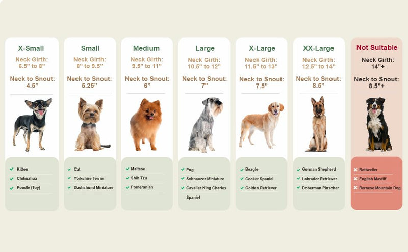 Dog Cone, Pet Recovery Collar Comfy Pet Cone Collar Protective Collar for After Surgery Lick Wound Healing Flexible Cone for Dogs After Surgery (XL) Green - PawsPlanet Australia