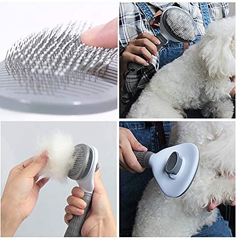 DASHH Glove + Brush for Dogs and Cats, Comb and Self-Cleaning Grooming for Pets, Removing Excess and Dead Animal Hair.