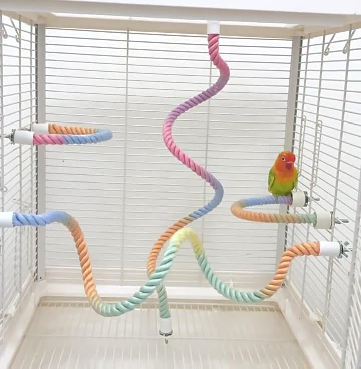 3Pcs Rope Perches for Bird Cages, Rope Perch for Parrots, Cockatiels & Parakeets, Bird Cage Accessories - PawsPlanet Australia