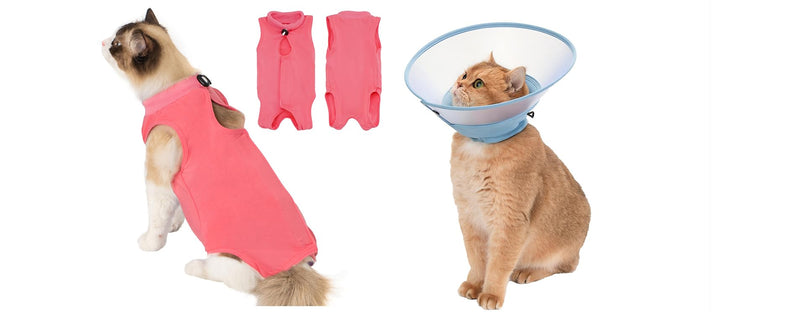 Avont Cat Recovery Suit Post-Surgery Onesie Bundle with Adjustable Cat Cone Collar - S