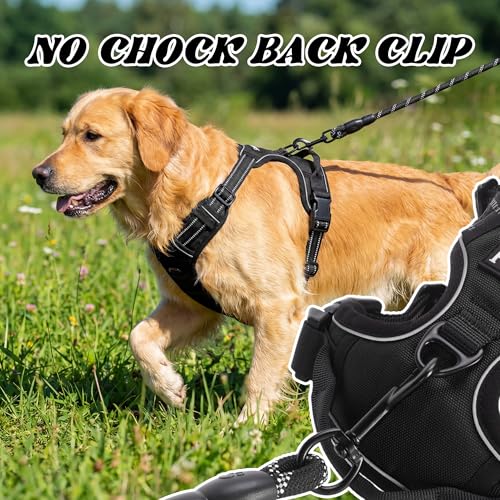 Funfox Dog Harness No Pull, Adjustable Pet Vest Harness Black S with Handle, 2 Leash Clips for Daily Walking Easy Control, Soft Durable Reflective Comfortable for Small Sized Dogs - PawsPlanet Australia