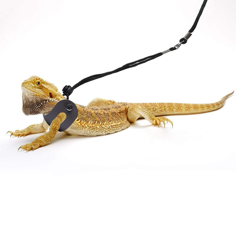 Bearded Dragon Harness and Leash Adjustable(S,M,L, 3 Pack) - Soft Leather Reptile Lizard Leash for Amphibians and Other Small Pet Animals - PawsPlanet Australia