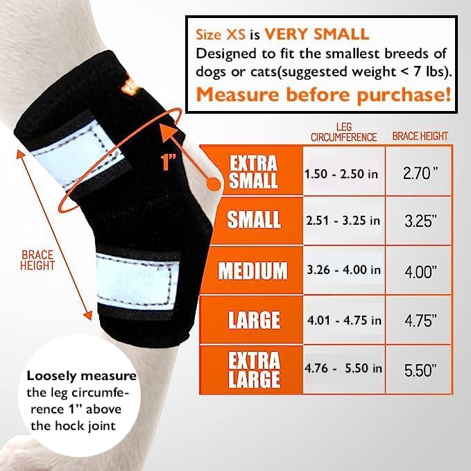 NeoAlly Cat and Dog Ankle Brace Pair Canine Rear Leg Hock Support with Safety Reflective Straps for Hind Leg Wounds Heal and Injuries and Sprains from Arthritis (XS Pair) XS (1 Pair) Black