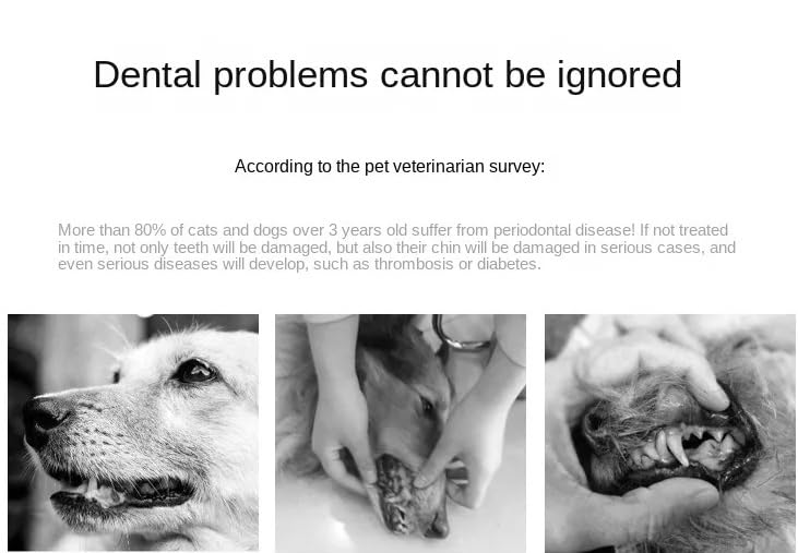 Micro Small pet Toothbrush, Cat and Dog Toothbrush, Dog Teeth Cleaning, Dental Brush for Small & Large Pets, Soft Bristle Brush for Dogs and Cats, Yorkies and Chihuahuas - PawsPlanet Australia