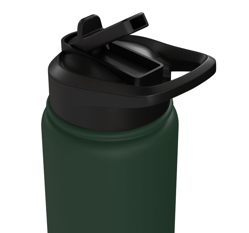 Schnauzer Dog Breed Pet with Sunglasses Cute Graphic Stainless Steel Insulated Water Bottle Dark Green 30 Ounces