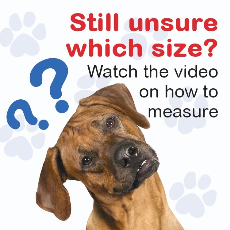 Standard Front Leg Brace for Dogs with Injuries, Arthritis, or Licking Prevention, Durable & Lightweight Post-Surgery Protection for Pets - XXS XX-Small