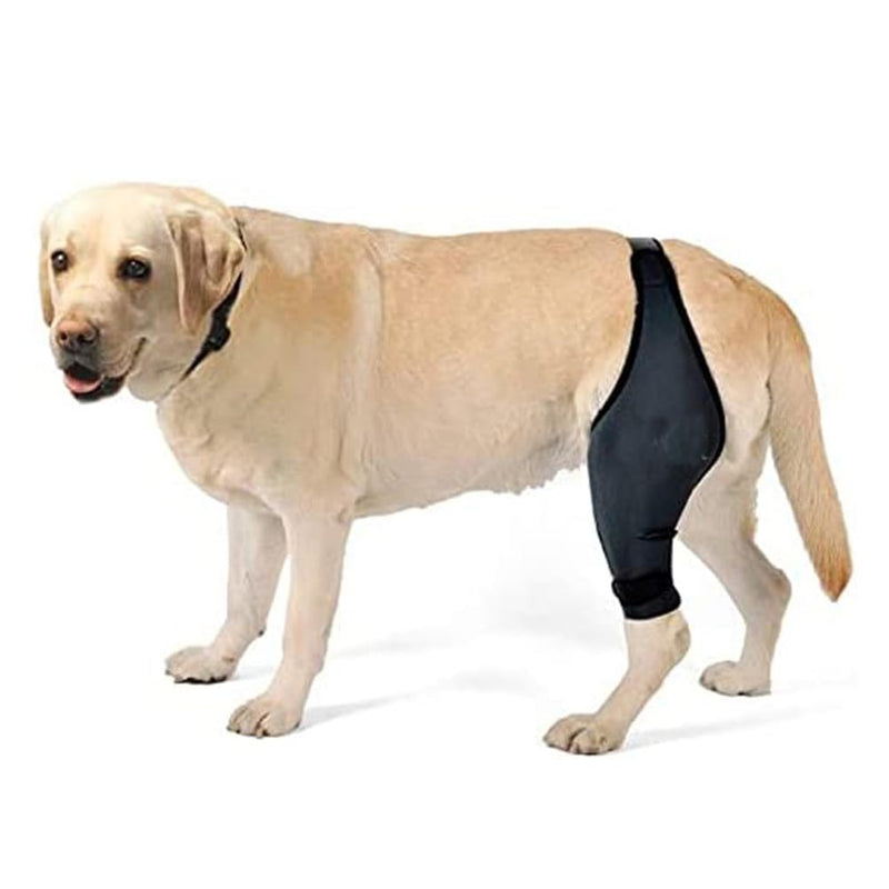 Balacoo Step in Dog Harness Dog acl hind Leg paw Balm Dogs Lick Safe Dog Care Dog Joint Dog Knee Dress Form Stand Comfortable Dog Knee Protector pet Auxiliary Belt As Shown L - PawsPlanet Australia