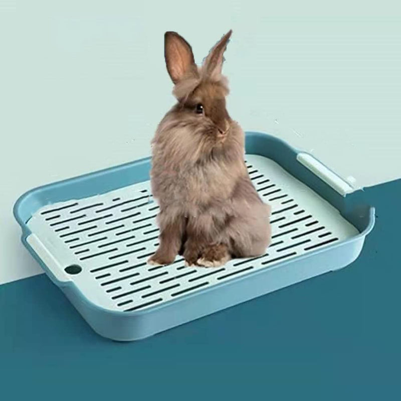 Rabbit Litter Box with Grate, 10.5 x 7.2 Inch Guinea Pig Litter Pan Anti-Turnover Pet Toilet Potty Trainer Corner Guinea Pig Training Pan Cage with Toilet Tray for Rabbit Chinchilla Guinea Double Layer small (green) One size - PawsPlanet Australia