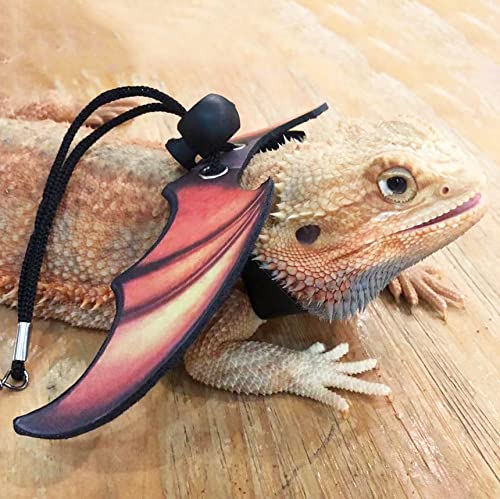 ADOGGYGO Bearded Dragon Lizard Leash Harness - Adjustable Cool Leather Wing Lizard Reptile Harness Leash for Bearded Dragon Lizard Reptiles (Orange)