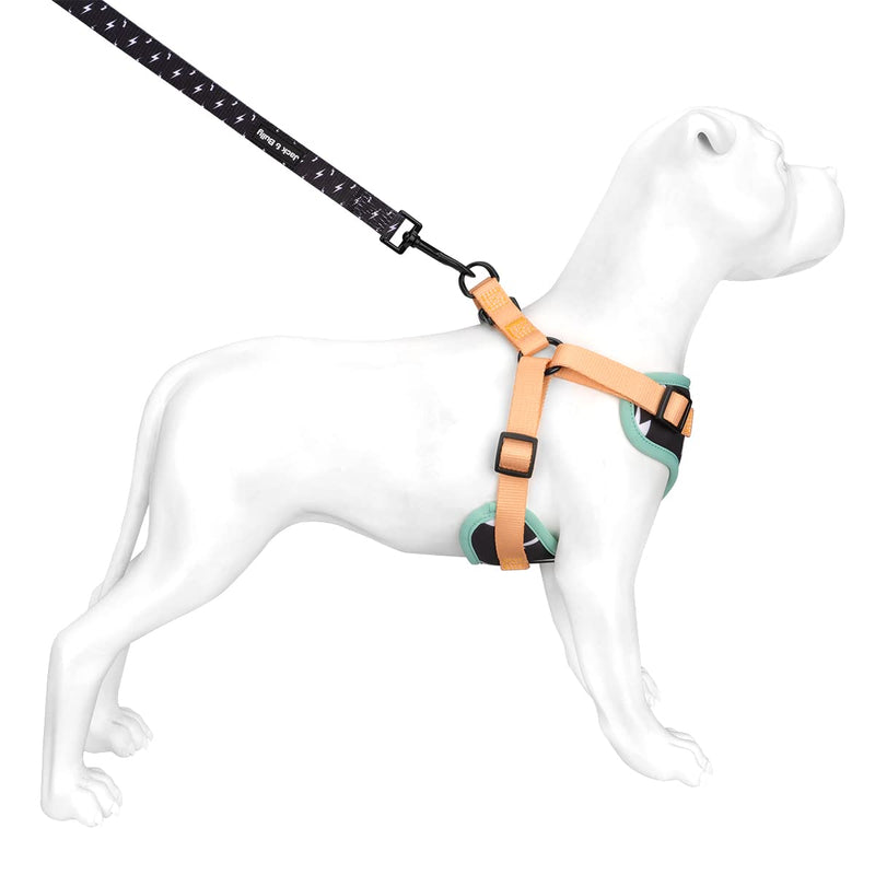 Jack & Bully Dog Leash, Lightning Pattern, 5ft Leash, Soft Neoprene Handle Medium - PawsPlanet Australia