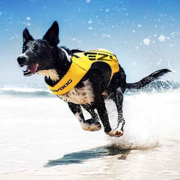 EzyDog DFD X2 Dog Life Jacket - Adjustable Swimming Safety Life Vest Preserver with Continuous Neck Flotation, Reflective Trim, & Grab Handle (3XS, Blue) 3XS - PawsPlanet Australia