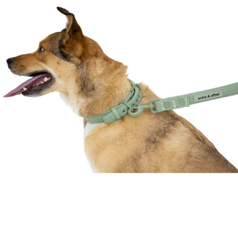 Heavy Duty Adjustable Dog Collar | Odor Proof and Easy to Clean | Made with a Comfortable Fabric and Metal Hardware | archie & alfred (Size Medium) Green - PawsPlanet Australia