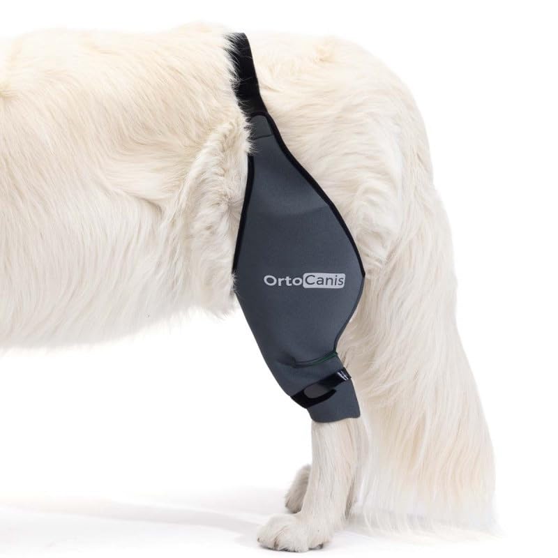 Ortocanis - Dog Knee Brace - for Right Hind Leg - Made of ARD Neoprene - for ACL Tear, Ligament Injuries, Patellar Luxation or Osteoarthritis - Size X-Small (8,3-9,4 ") Right Leg Size X-Small (8,3 - 9,4 ") - PawsPlanet Australia