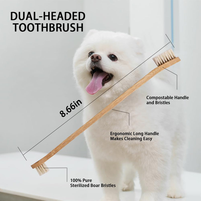 Gaia Guy Bamboo and Boar Bristle Double-Sided Pet Toothbrushes - 6-Pack - for Dogs, Cats and Planet - Plastic-Free and Nylon-Free Natural Bristles - No Microplastics - PawsPlanet Australia