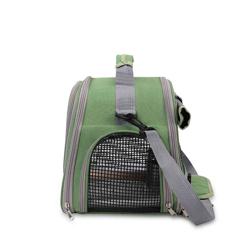 Bird Travel Carrier, Portable Small Bird Parrot Parakeet Carrier with Standing Perch and Tray, Side Access Window Collapsible Bird Carry Transport Bag for Vet Visit(Green) - PawsPlanet Australia