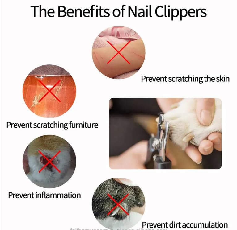 CHARLIE & BUDDY Cat Nail Clipper – Sharp and Durable Nail Clippers for Cats & Dogs, Essential Dog Grooming Tool for Safe and Easy Nail Trimming, Perfect for Cat and Dog Nail Care - PawsPlanet Australia