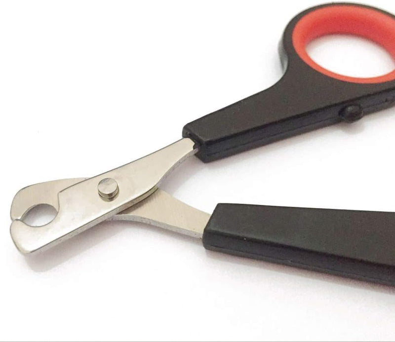 Black Pet Supplies Pet Accessories Trumpet Dog Cat Bird Nail Scissors Nail Clippers Trimmer Pet Grooming Supplies Grooming Brushes, Pets are Good Friends of Mankind Claw Care - PawsPlanet Australia