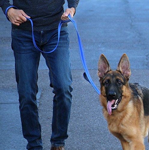Max and Neo Triple Handle Traffic Dog Leash Reflective - We Donate to a Dog Rescue for Every One Sold (RED) RED - PawsPlanet Australia