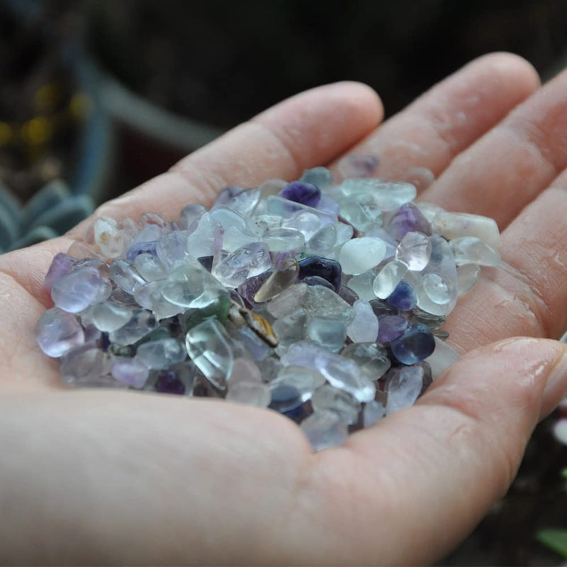 SDQCLIIF 1lb Fluorite Stone,Natural Crystals Chip,Tumbled Fluorite Bulk,One Bagged Approx 280 Pieces,Aquarium Gravel for Candle,Fish Task,Vase,Home Décor (9-12mm) 9-12mm - PawsPlanet Australia