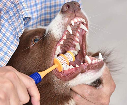 ARM & HAMMER Fresh Spectrum Coconut Dental Kit for Puppies, Includes Puppy Toothpaste, Toothbrush & Finger Brush, Removes Plaque, 360° Brush Deep Cleans all Tooth Surface, Easy to Use Dog Oral Care