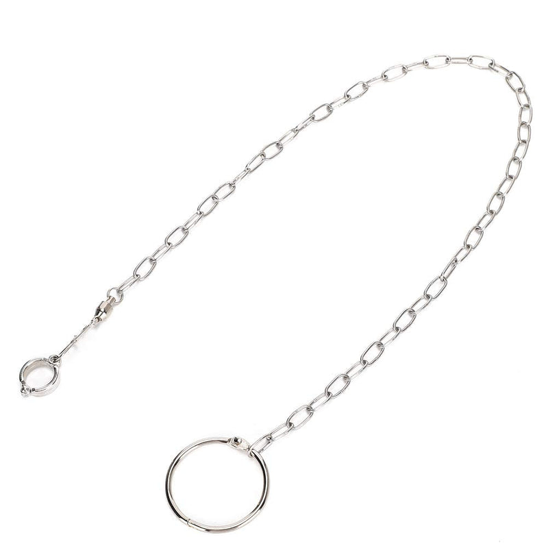 Parrot Foot Chain Bird Leg Leash Stainless Steel Split Anklet Ring for Small Birds Parrots Pet Training - PawsPlanet Australia