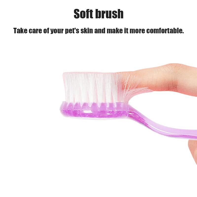 2 Pack Hamster Brush, Guinea Pig Massage Combs, Hedgehog Cleaning Supplies - Purple - PawsPlanet Australia