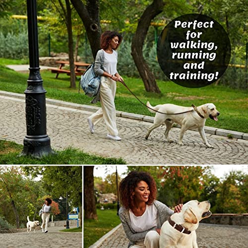 ADITYNA - Premium Leather Dog Leash - 6 ft, Heavy-Duty, Soft & Strong for Small/Medium Dogs - Perfect for Walking, Training, Hiking, and Running (Medium: 6 ft x 5/8", Brown) Medium: 6 ft x 5/8" - PawsPlanet Australia