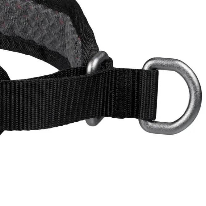 Non-stop dogwear Rock Collar 3.0 Orange 157 Collar with Pull Stop, Comfortable, Size: 60