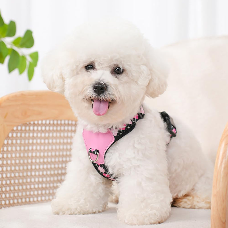 Small Dog Harness and Leash Set, No Pull Dog Harness with 2 Leash Clips, Anti-Escape Easy Walk Puppy Harness, Adjustable Dog Vest Harness for Training Walking for Small Dogs(Black, S) Black - PawsPlanet Australia