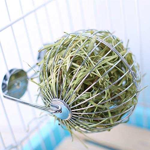 Wontee Rabbit Hay Ball Stainless Steel Hanging Feed Dispenser for Bunny Hamster Guinea Pig Rat Chinchilla B: 5.11inch Silver - PawsPlanet Australia