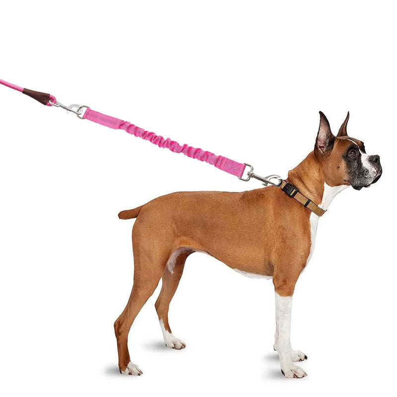 BTINESFUL Bungee Dog Leash Extension, 18”Dog Shock Absorber Extender, Works with Any Leash for Walking, Jogging, Training, Playing 18 Inch Pink - PawsPlanet Australia