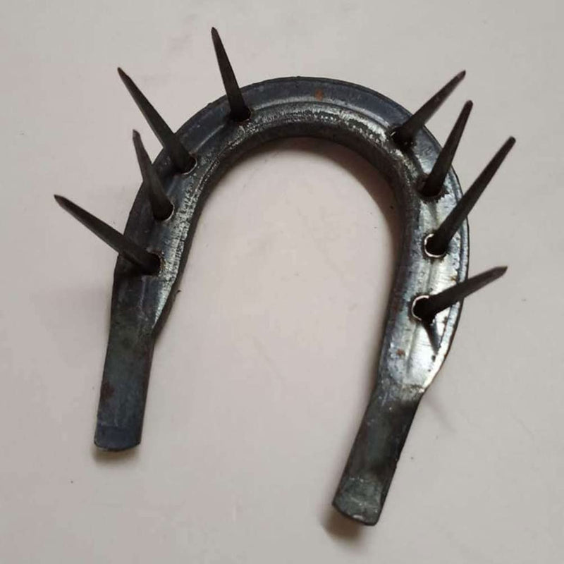 50pcs Iron Horseshoe Nail Horseshoe Nails Replaceable Horseshoe Nail Replaceable Hoof Nails Small Horseshoe Tool Sturdy Horseshoe Tool Iron Hoof Nails Small Hoof Nails Horse Supply - PawsPlanet Australia